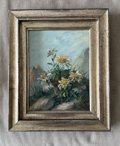 Hermann busse edelweiß - hermann, busse,