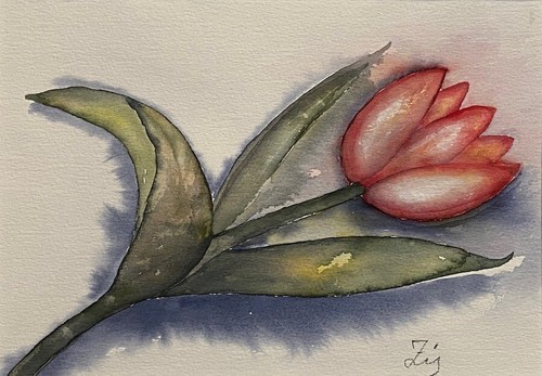 Tulpe original aquarell - aquarell, mit