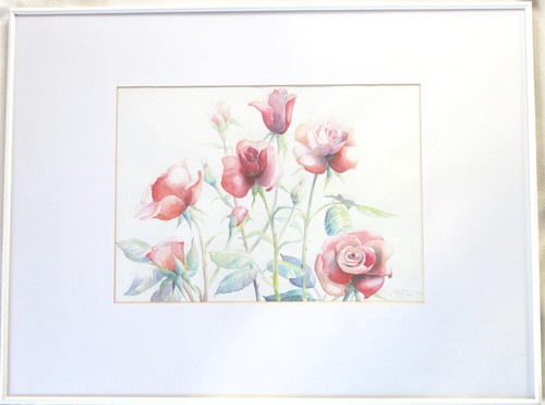 Zartes rosen aquarell - zartes, rosen-aquarell