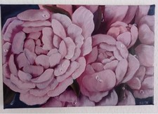 Original Öl Gemälde Blumen