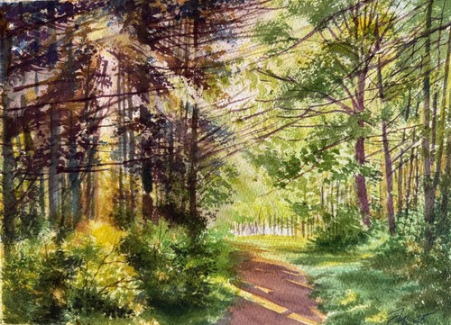 Aquarellbild original 32x24 - original,