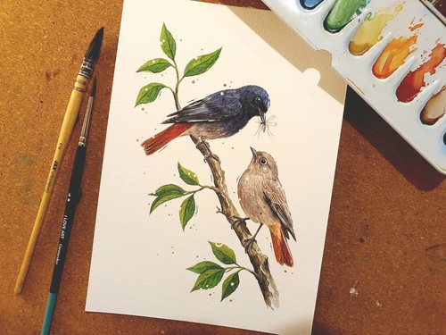 Original aquarell illustration - aquarell,