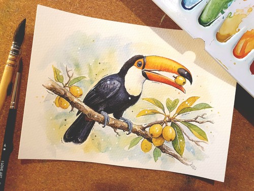 Aquarell tukan handgemaltes - aquarell, tukan,