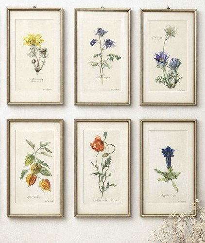 Bilder aquarell stück elsa - bilder, 6