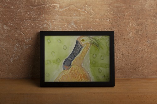 Big beak 12 watercolour - big,