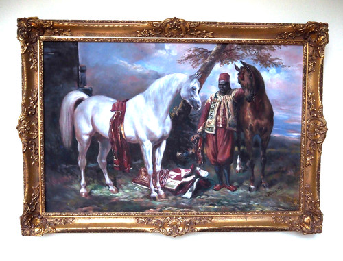 Arabische pferde araber 103 - pferde,