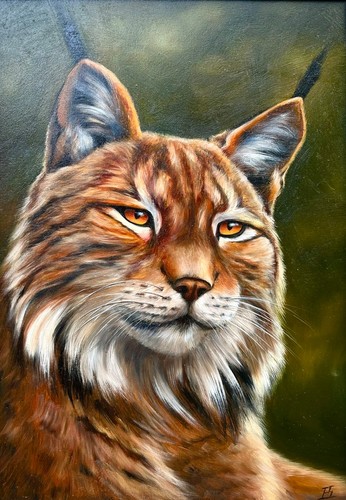 Luchs bild original - luchs,