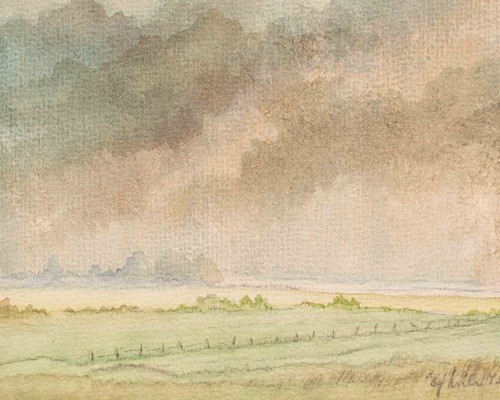 Landschaft felder wiese - felder,