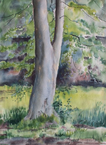Gerhard schulte dahling baum - gerhard,