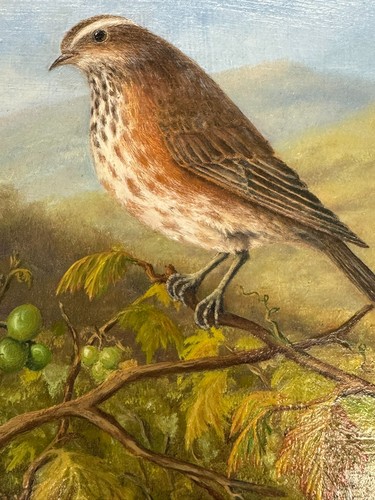 ölgemälde vogel auf ast - auf, y