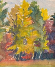 Landschaft Wald Herbst